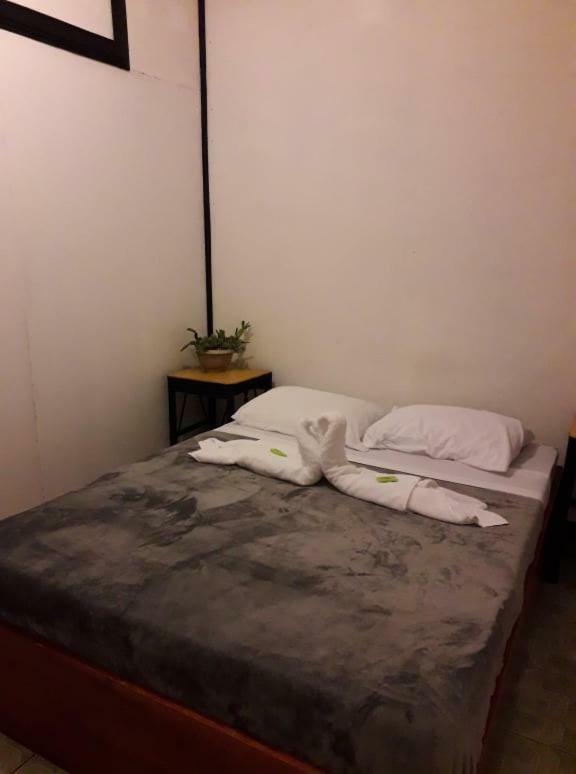 Hostel California Монте-Верде Экстерьер фото
